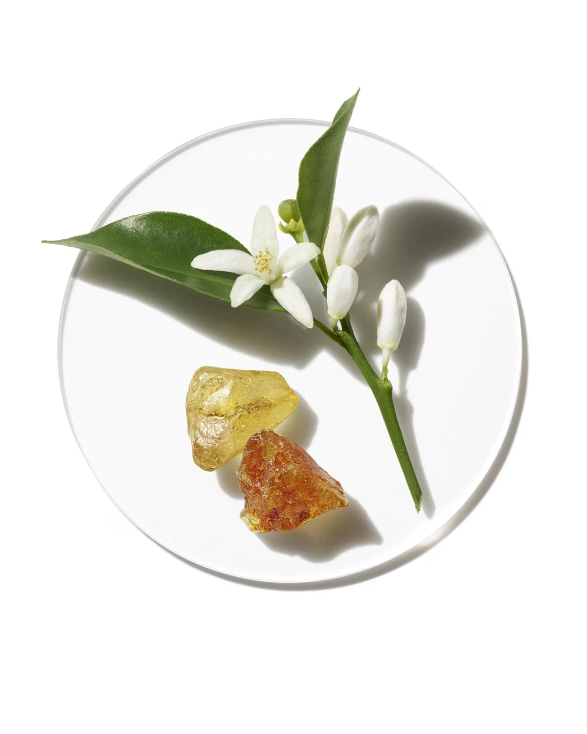 Aromatics in White Fragrance - US 1101