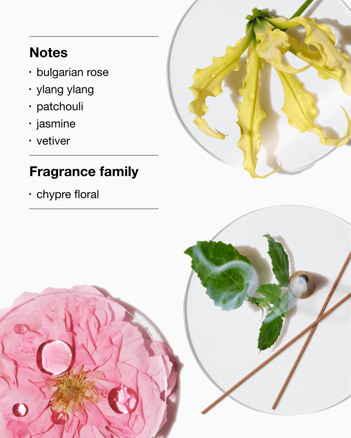 Aromatics Anywhere Fragrance Set - US 1972