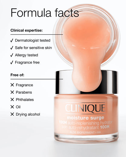 Moisture Surge™ 100H Auto-Replenishing Hydrator - US 5144