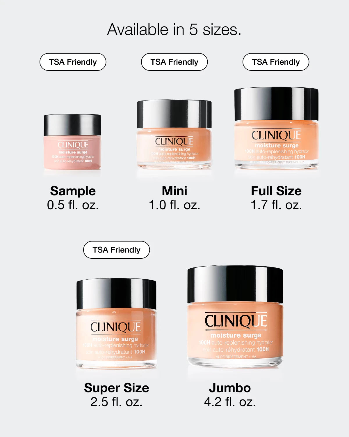 Moisture Surge™ 100H Auto-Replenishing Hydrator - US 5513